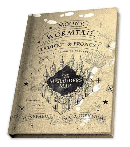 Coffret Harry Potter : Verre XXL + Pin's + Carnet Carte du Maraudeur -  Galaxy Pop
