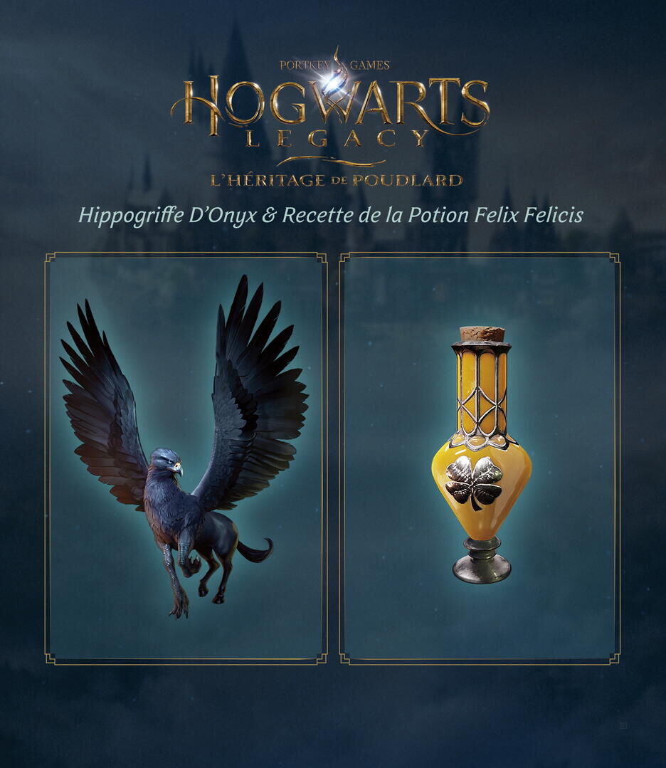 Hogwarts Legacy Lheritage De Poudlard Edition Collector Sur Ps5 Tous Les Jeux Vidéo Ps5 