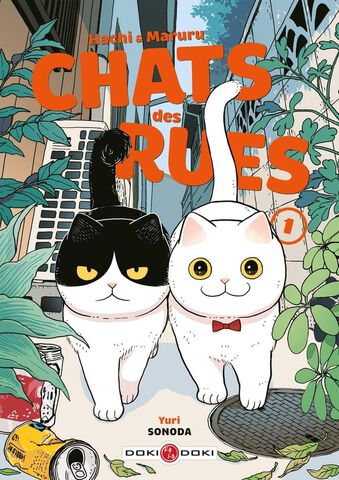 Manga - Hachi & Maruru - Chats Des Rues - Tome 01